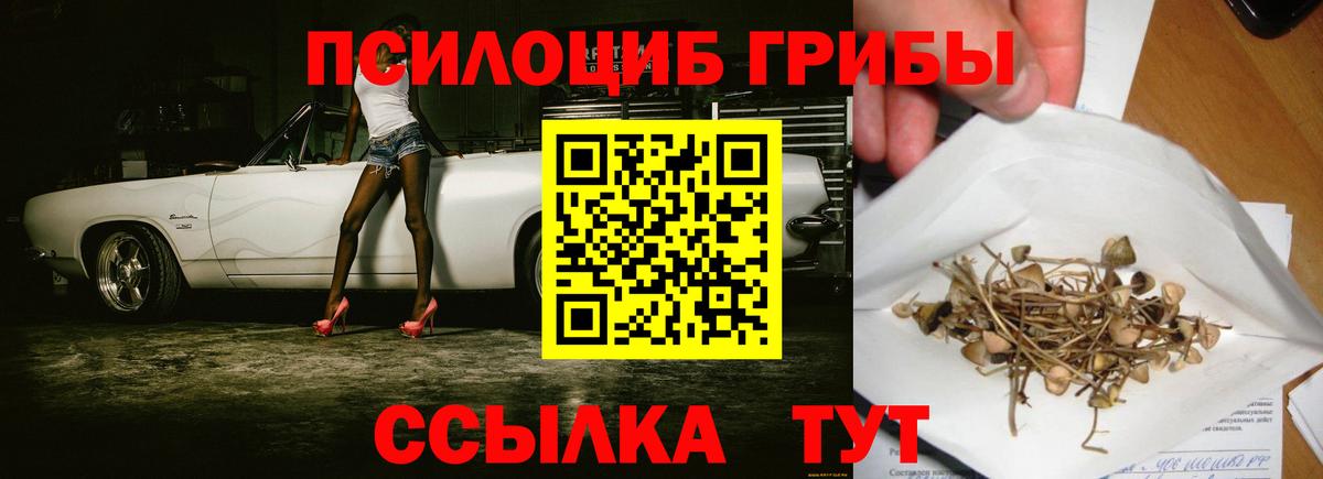 Псилоцибиновые грибы мицелий  Галлюциногенные грибы Magic Shrooms  Конаково  Вход с VPN 